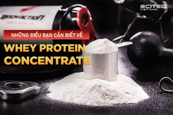 Whey protein concentrate là gì?